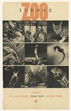 Artist: b'Beck, Richard.' | Title: b'Indoor zoo.' | Date: c.1937 | Technique: b'lithograph, printed in colour, from multiple plates'