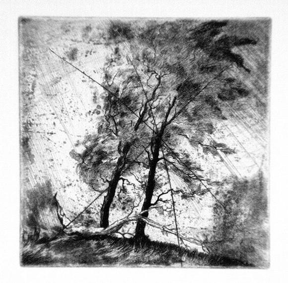 Artist: b'FEINT, Adrian' | Title: b'(Trees).' | Date: 1980 | Copyright: b'Courtesy the Estate of Adrian Feint'