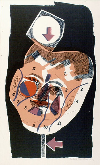 Artist: b'HANRAHAN, Barbara' | Title: b'not titled' | Date: 1966 | Technique: b'screenprint, printed in colour, from five stencils'