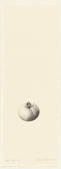 Artist: b'Pilgrim, Catherine.' | Title: b'not titled [tomato]' | Date: 2001, February | Technique: b'lithograph, printed in black ink, from one stone'