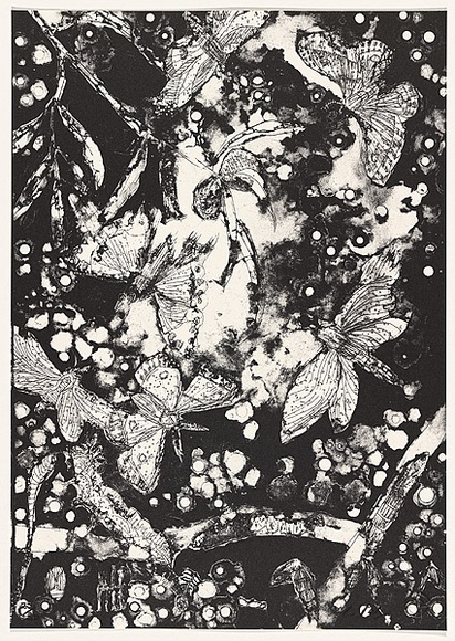 Artist: b'Polzin, Leisa.' | Title: b'not titled.' | Date: 1992 | Technique: b'lithograph, printed in black ink, from one stone,'