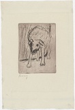 Artist: MADDOCK, Bea | Title: Dog at a gate. | Date: 67 | Technique: etching, printed in black ink with plate-tone, from one zinc plate