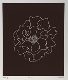 Artist: Marshall, John. | Title: Camellia | Date: 1997 | Technique: linocut, printed in black ink, from one block