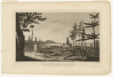 Title: View in the Island of Pines | Date: 1777 | Technique: engraving, printed in black ink, from one copper plate