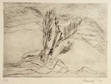 Artist: SHEARER, Mitzi | Title: not titled | Date: 1979 | Technique: etching, drypoint printed in black ink with plate-tone, from one  plate
