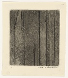 Artist: b'WILLIAMS, Fred' | Title: b'Sherbrooke Forest. Number 4' | Date: 1962 | Technique: b'aquatint and engraving, printed in black ink, from one zinc plate' | Copyright: b'\xc2\xa9 Fred Williams Estate'