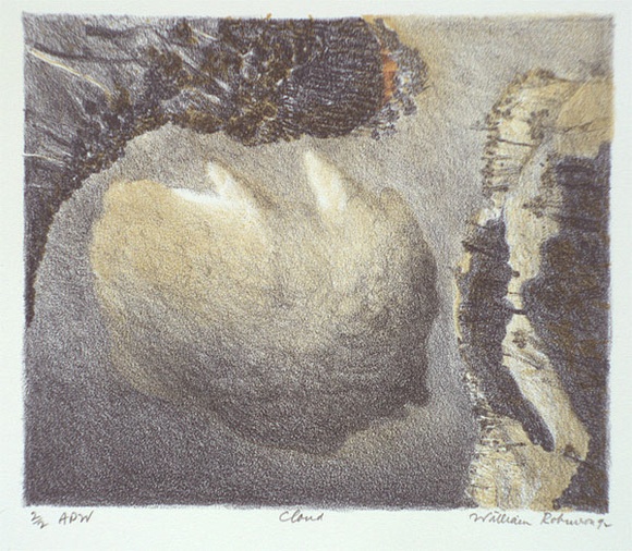 Artist: b'Robinson, William.' | Title: b'Cloud' | Date: 1992 | Technique: b'lithograph, printed in colour, from multiple stones; hand coloured'