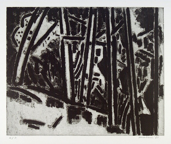 Artist: b'MAKIN, Jeffrey' | Title: b'Woodend' | Date: 1981 | Technique: b'etching and aquatint, printed in black ink with plate-tone, from one plate'