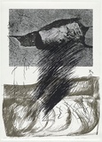 Artist: b'MEYER, Bill' | Title: b'The Gap sings wordlessly' | Date: 1981 | Technique: b'screenprint, printed in black, green and grey ink, from six stencils (photo-indirect)' | Copyright: b'\xc2\xa9 Bill Meyer'