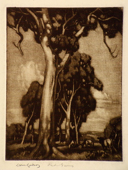 Artist: b'LINDSAY, Lionel' | Title: b'Red Gums' | Date: 1922 | Technique: b'mezzotint, printed in brown ink, from one plate' | Copyright: b'Courtesy of the National Library of Australia'