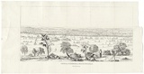 Title: View of Youang Hill - North Pyrenees, Victoria. | Date: c.1852 | Technique: etching and engraving, printed in black ink, from one plate