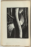 Artist: Counihan, Noel. | Title: not titled [road through trees] | Date: 1939 | Technique: linocut, printed in black ink, from one block