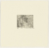 Artist: b'Robinson, William.' | Title: b'Springbrook 7' | Date: 1999 | Technique: b'etching, printed in brown ink, from one plate'