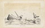 Title: The flurry | Date: 1848 | Technique: lithograph, printed in colour, from two stones