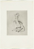 Artist: b'BOYD, Arthur' | Title: b'Colour blind.' | Date: 1970 | Technique: b'etching, printed in black ink, from one plate' | Copyright: b'Reproduced with permission of Bundanon Trust'