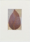 Artist: b'Wright, Helen.' | Title: b'(Maroon leaf, yellow coral design background)' | Date: 2000 | Technique: b'digital print, printed in colour, from digital file'