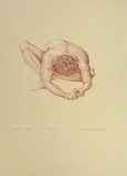 Artist: Gooch, Malcolm. | Title: David | Date: 1989, 19 October | Technique: lithograph, printed in red ink, from one stone