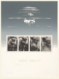 Artist: EWINS, Rod | Title: Come Sheep. | Date: 1984, June | Technique: screenprint, photo-etching