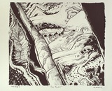 Artist: b'Hillard, Merris.' | Title: b'Tree trunk I' | Date: c.1986 | Technique: b'lithograph, printed in black ink, from one stone'