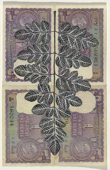 Artist: HALL, Fiona | Title: Moringa oleifera - Drumstick tree (Indian currency) | Date: 2000 - 2002 | Technique: gouache | Copyright: © Fiona Hall