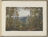 Artist: b'von Gu\xc3\xa9rard, Eugene' | Title: b'Forest, Cape Otway Ranges' | Date: (1866 - 68) | Technique: b'lithograph, printed in colour, from multiple stones [or plates]'