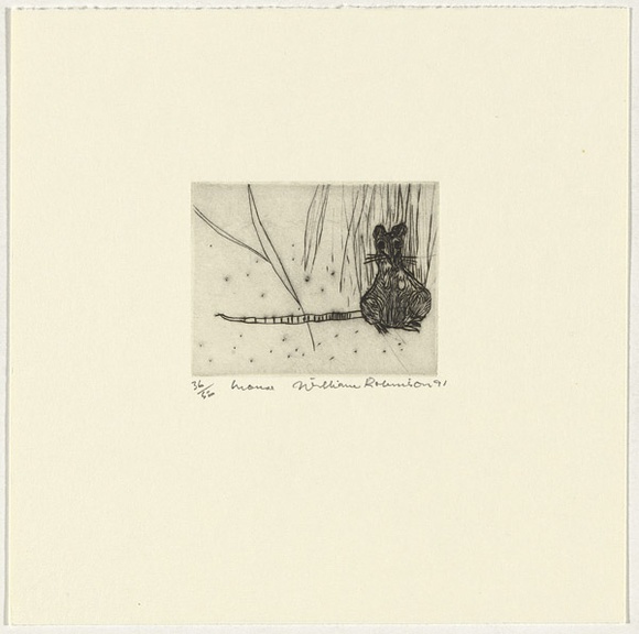 Artist: b'Robinson, William.' | Title: b'Mouse' | Date: 1991 | Technique: b'etching, printed in black ink, from one plate'