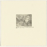 Artist: b'Robinson, William.' | Title: b'Springbrook 1' | Date: 1999 | Technique: b'etching, printed in brown ink, from one plate'