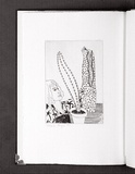 Artist: Jenyns, Lorraine. | Title: not titled. | Date: 1987 | Technique: etching | Copyright: © The artist