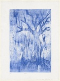 Artist: Hobson, Silas. | Title: Pelican | Date: 1998 | Technique: engraving, printed in blue ink, from one plate