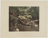 Artist: PHILLIP-STEPHAN PHOTO-LITHO. AND TYPOGRAPHIC PROCESS CO LTD | Title: Scene on the Erskine River | Date: c.1887 | Technique: Lithograph, printed in colour, from one photographic and multiple hand-drawn stones