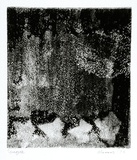 Artist: SHEARER, Mitzi | Title: Variation on a theme | Date: 1978 | Technique: etching, printed in black ink, from one  plate