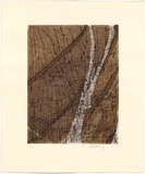 Artist: Jobling, Winsome. | Title: The wet. | Date: 2006 | Technique: etching, printed in colour, from six plates