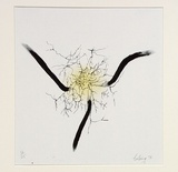 Artist: b'COLEING, Tony' | Title: b'Drawing for sculpture [2].' | Date: 1970 | Technique: b'lithograph, printed in colour, from two stones [or plates]'