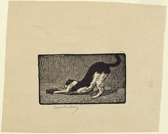 Artist: b'LINDSAY, Lionel' | Title: b'The cat' | Date: 1922 | Technique: b'wood-engraving, printed in black ink, from one block' | Copyright: b'Courtesy of the National Library of Australia'