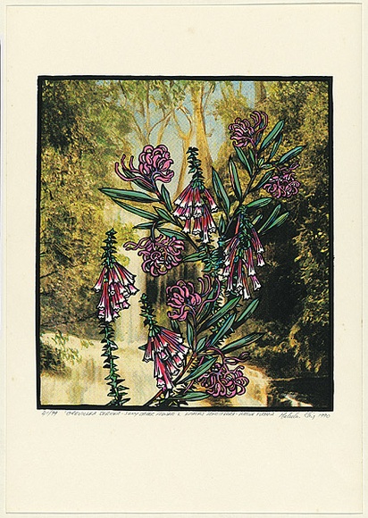 Title: b'Grevillea sericea - silky spider flower & epacris longiflora - native fuchia' | Date: 1990 | Technique: b'screenprint, printed in colour, from multiple stencils'