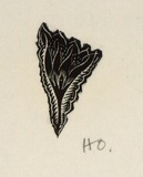Artist: b'OGILVIE, Helen' | Title: b'(stylized flower)' | Date: 1950 | Technique: b'wood-engraving, printed in black ink, from one block'