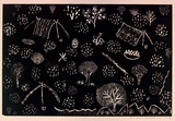 Artist: Petyarre, Annie. | Title: not titled [No.28] | Date: 1990 | Technique: woodcut, printed in black ink, from one block