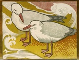 Artist: b'Higgs, Florence.' | Title: b'Gulls' | Date: (1956) | Technique: b'linocut, printed in colour, from four blocks'