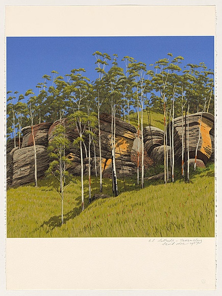 Artist: b'Rose, David.' | Title: b'Hillside - Yarramalong' | Date: 1987 | Technique: b'screenprint, printed in colour, from multiple stencils'