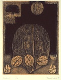 Artist: Waite, Dianne. | Title: Walnut | Date: 1988 | Technique: etching, printed in deep blue ink, from one plate; with orange tint.