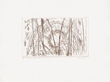 Artist: b'MEYER, Bill' | Title: b'Dam rising through trees' | Date: 1988 | Technique: b'line etching, printed in brown ink, from one zinc plate' | Copyright: b'\xc2\xa9 Bill Meyer'