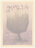 Artist: b'Johnstone, Ruth.' | Title: b'Lavender for remaining chaste' | Date: 1998, August | Technique: b'lithograph, printed in colour, from two stones'