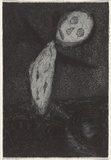 Artist: b'Uhlmann, Paul.' | Title: b'New Insecta Queensland by A A Girault.' | Date: 1989 | Technique: b'etching'