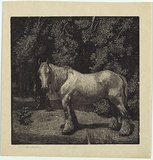Artist: b'LINDSAY, Lionel' | Title: b'The white horse' | Date: 1923 | Technique: b'wood-engraving, printed in black ink, from one block' | Copyright: b'Courtesy of the National Library of Australia'