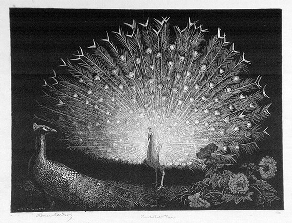 Artist: b'LINDSAY, Lionel' | Title: b'The white fan' | Date: 1935 | Technique: b'wood-engraving, printed in black ink, from one block' | Copyright: b'Courtesy of the National Library of Australia'