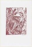 Artist: Omeenyo, Fiona. | Title: Ferns | Date: 1999 | Technique: linocut, printed in deep red ink, from one block