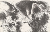Artist: b'MEYER, Bill' | Title: b'Gapoid energy and form' | Date: 1969-71 | Technique: b'lithograph, printed in black ink, from one stone' | Copyright: b'\xc2\xa9 Bill Meyer'