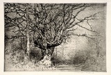 Artist: Menpes, Mortimer. | Title: not titled [Trees in winter]. | Date: (1910?) | Technique: etching and drypoint, printed in black ink, from one plate