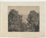 Artist: LINDSAY, Lionel | Title: View from the balcony, Killara, looking west. | Date: 1931 | Technique: aquatint and etching, printed in black ink with plate-tone, from one plate | Copyright: Courtesy of the National Library of Australia
