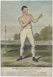 Artist: b'Woodhouse, Frederick.' | Title: b'Tom Curran, champion of Victoria.' | Date: (1860) | Technique: b'chalk-lithograph and pen-lithograph, printed in black ink, from one stone; hand-coloured'